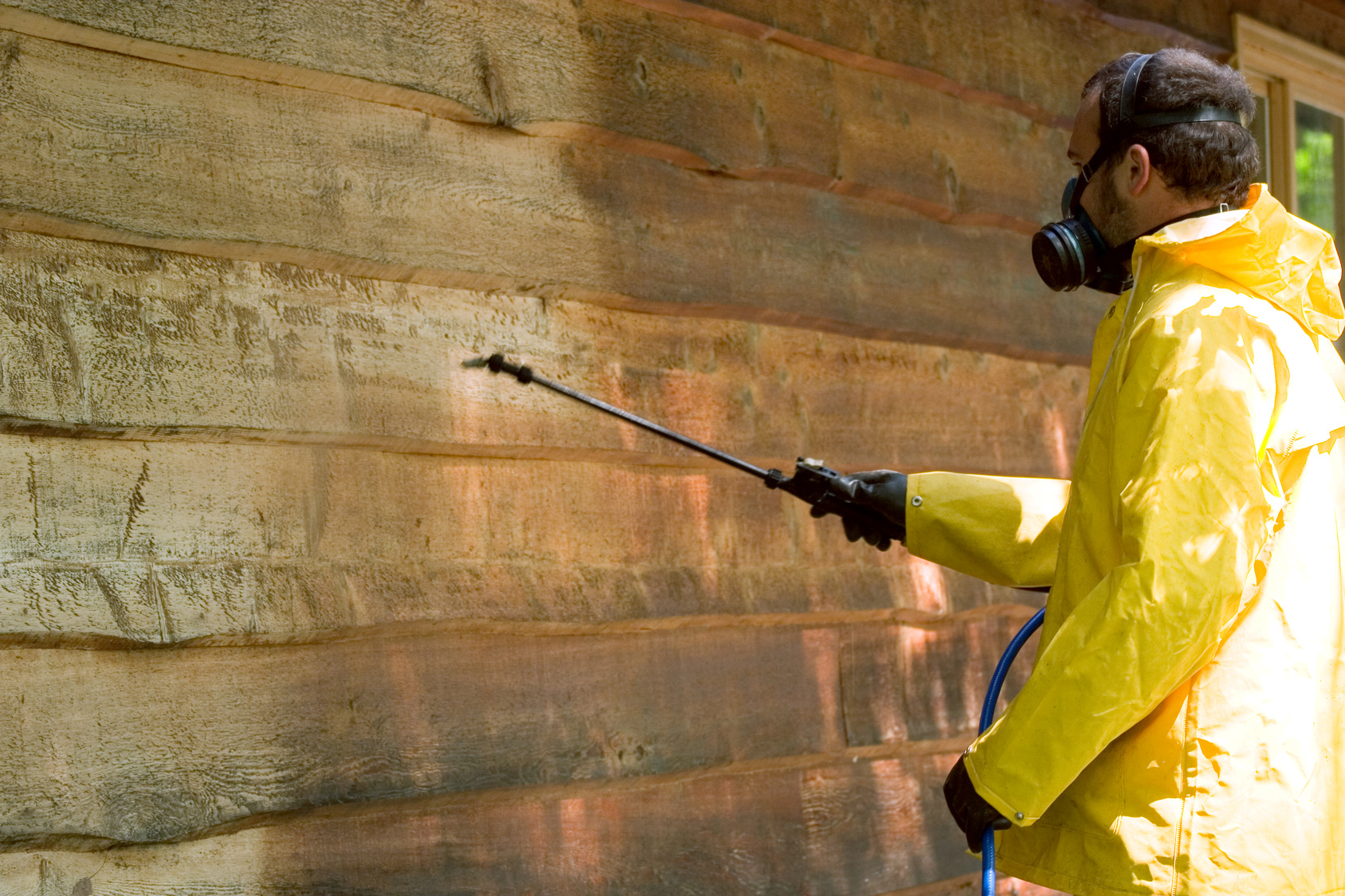 Schädlingsbekämpfung